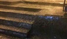 重庆大雨网最新爆料