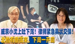 京交在线观看,揭秘线上交易新体验